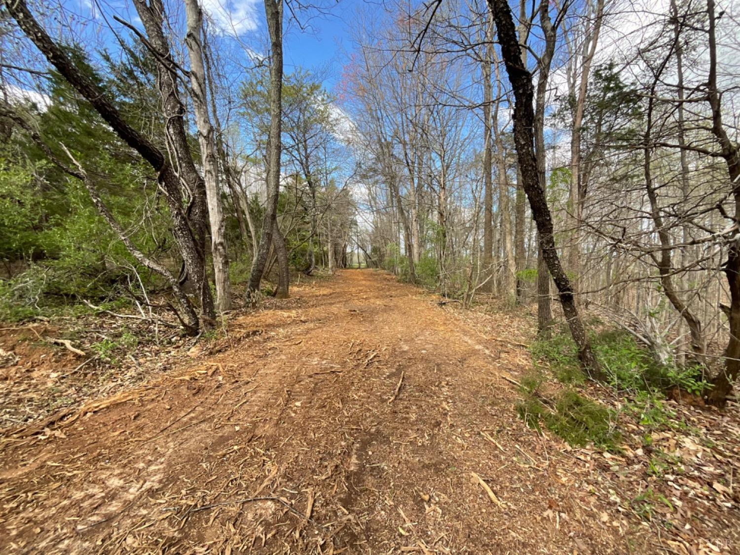 2 Falling Creek Road Bedford, VA 24523 - Photo 2 of 7 Lot 2 Driveway that has been cut in