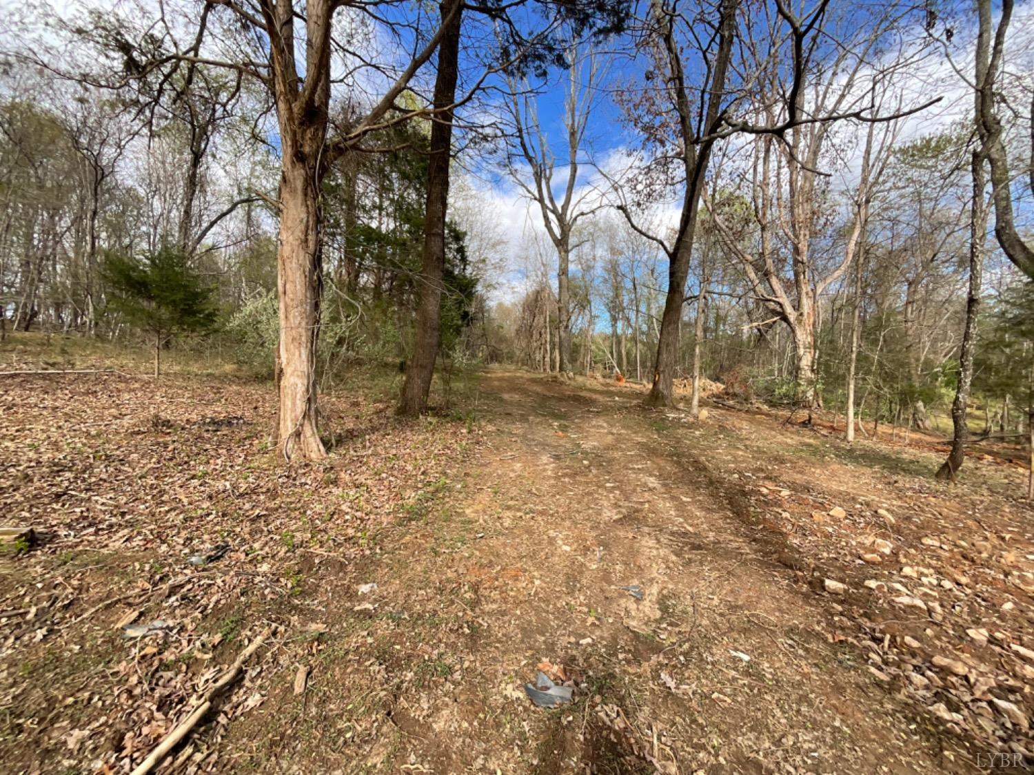 2 Falling Creek Road Bedford, VA 24523 - Photo 3 of 7 Path between Lot 2 and Lot 1