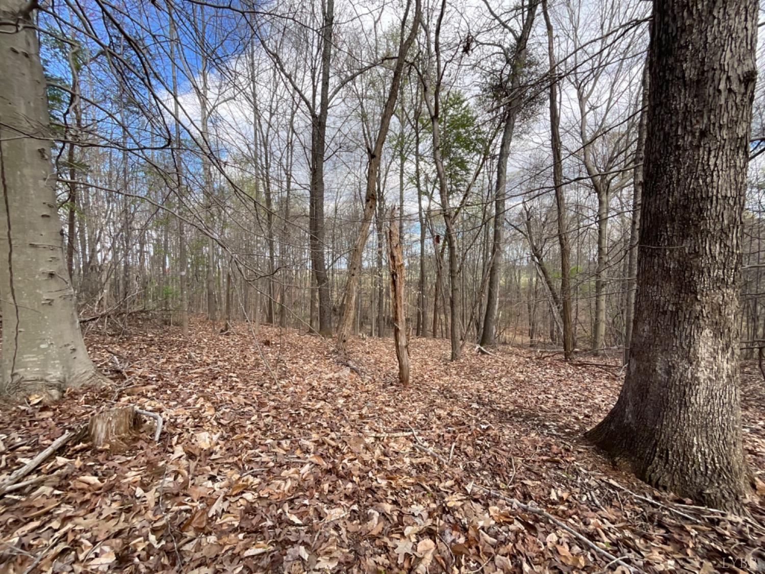 2 Falling Creek Road Bedford, VA 24523 - Photo 4 of 7 Land between Lot 2 and Lot 3