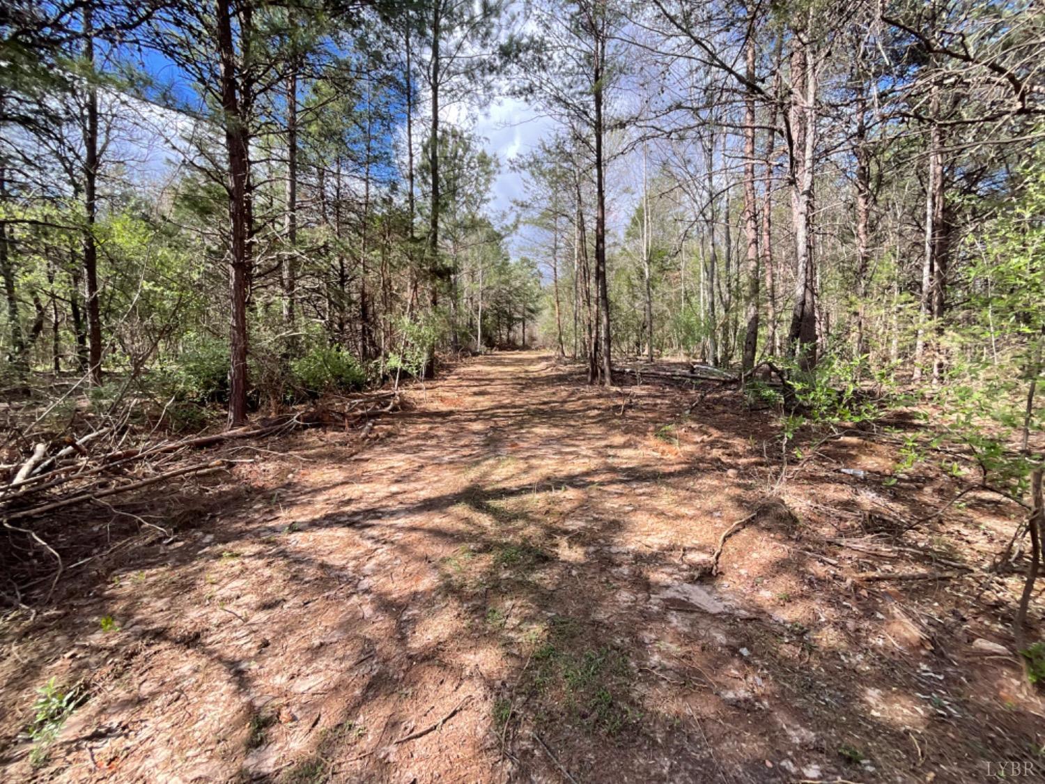 2 Falling Creek Road Bedford, VA 24523 - Photo 6 of 7 Path on Lot 2 that has been cut in