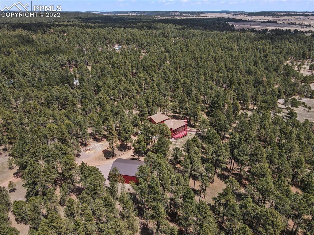 16955 Goshawk Road Colorado Springs, CO 80908 - Photo 4 of 50 Gallery Image 4