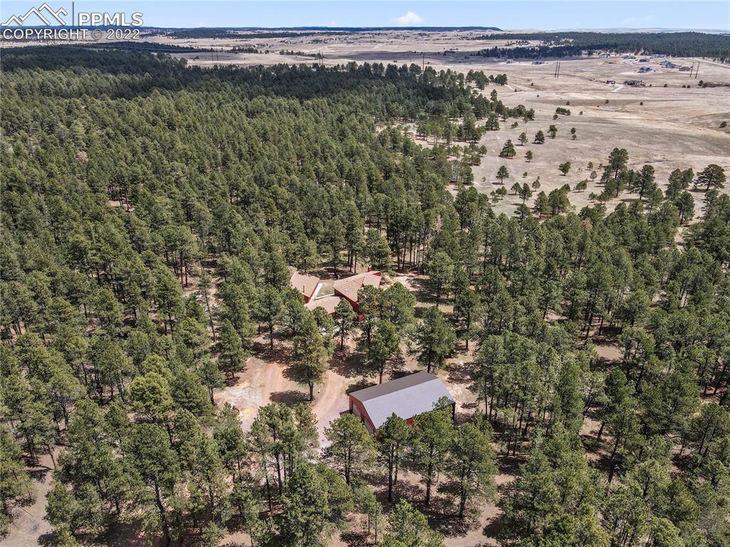 16955 Goshawk Road Colorado Springs, CO 80908 - Photo 42 of 50 Gallery Image 42