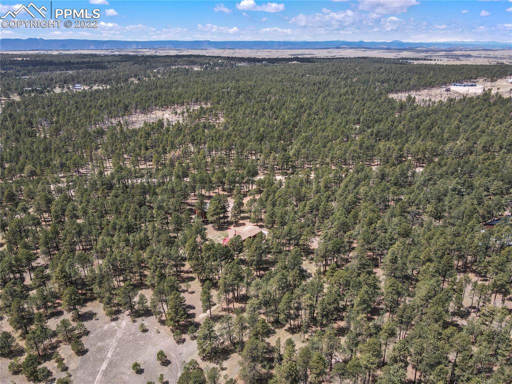 16955 Goshawk Road Colorado Springs, CO 80908 - Photo 44 of 50 Gallery Image 44