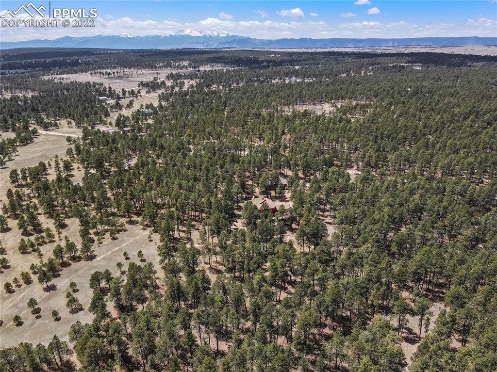 16955 Goshawk Road Colorado Springs, CO 80908 - Photo 45 of 50 Gallery Image 45