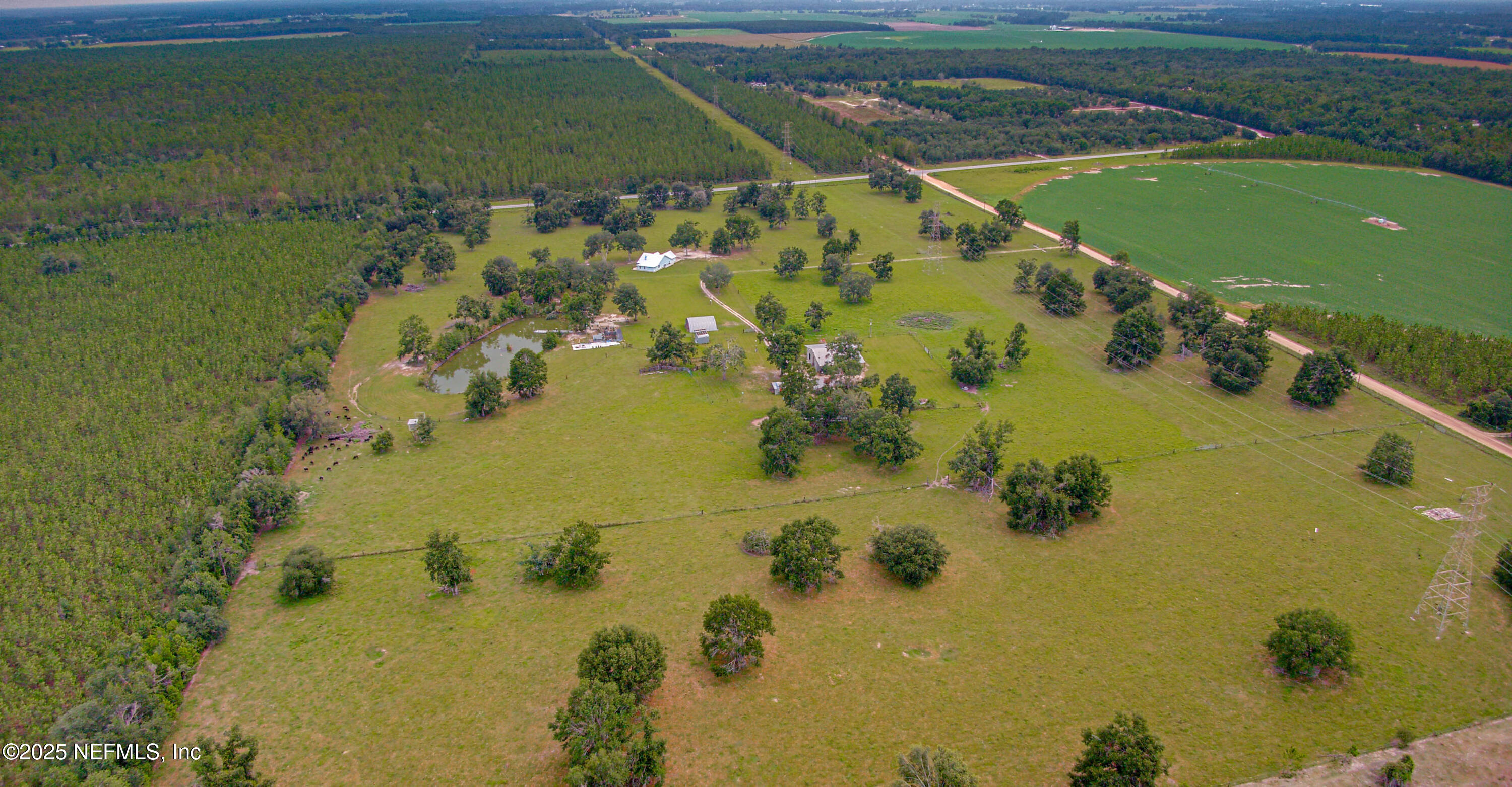 5377 Southwest 40th Avenue Jasper, FL 32052 - Photo 86 of 86 a view of a swimming pool