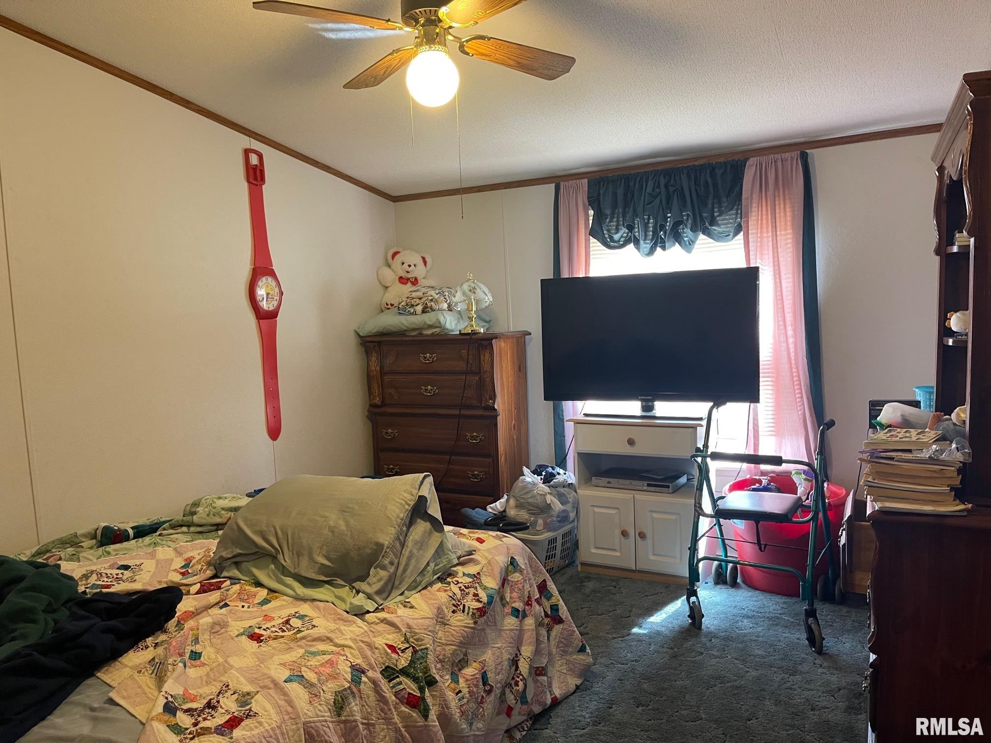 402 West 13th Street Belle Rive, IL 62810 - Photo 15 of 16