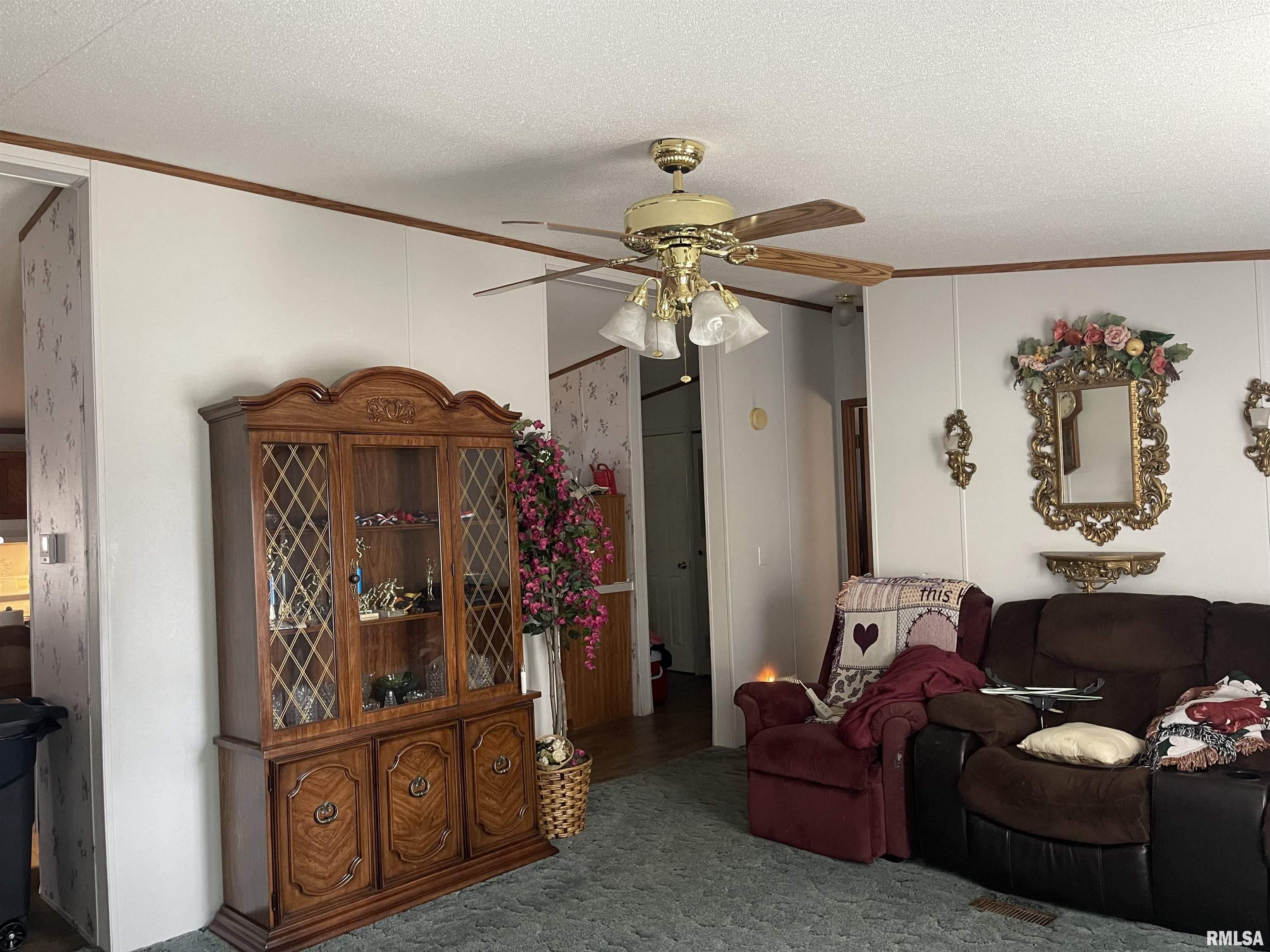 402 West 13th Street Belle Rive, IL 62810 - Photo 5 of 16