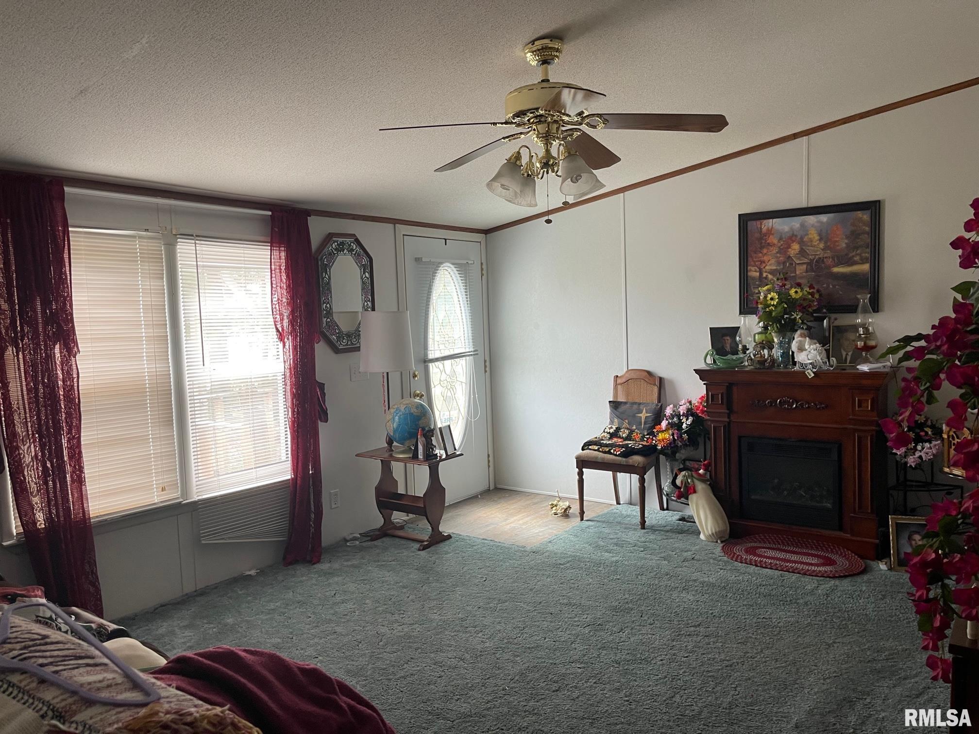 402 West 13th Street Belle Rive, IL 62810 - Photo 7 of 16