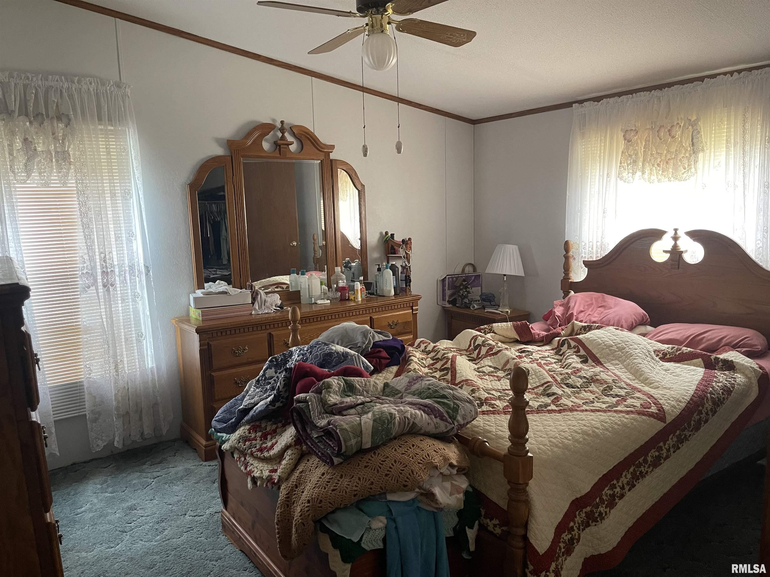 402 West 13th Street Belle Rive, IL 62810 - Photo 9 of 16
