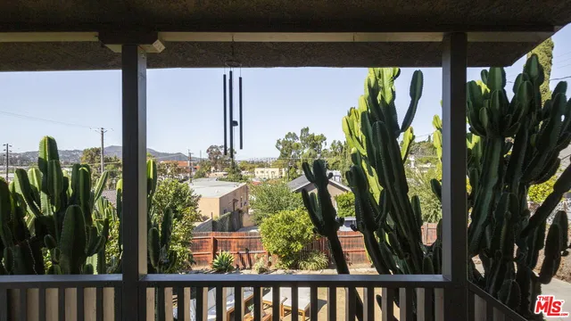 a view of a plant from a window