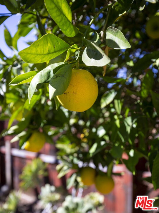 2010 Isabel Street Los Angeles, CA 90065 - Photo 30 of 34