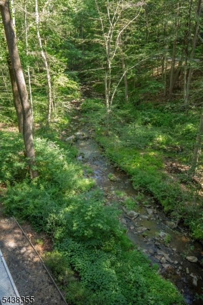 37 Guinea Hollow Road Lebanon, NJ 08833 - Photo 43 of 47