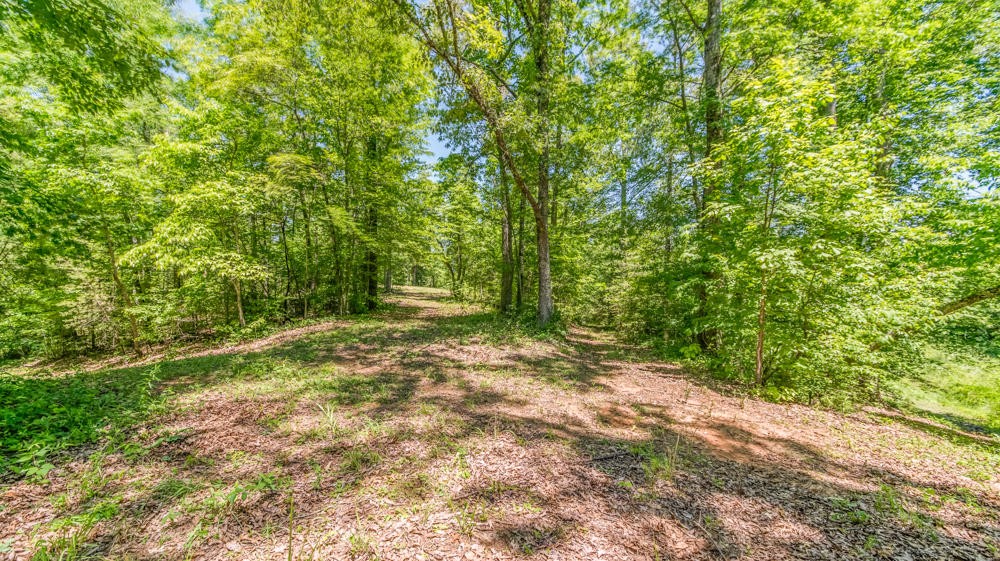 7230 Tomotley Road Maryville, TN 37801 - Photo 35 of 40 Gallery Image 35