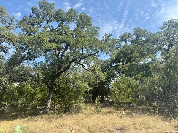 $69,333 | 102 Denson Belk, Blanco, TX 78606
