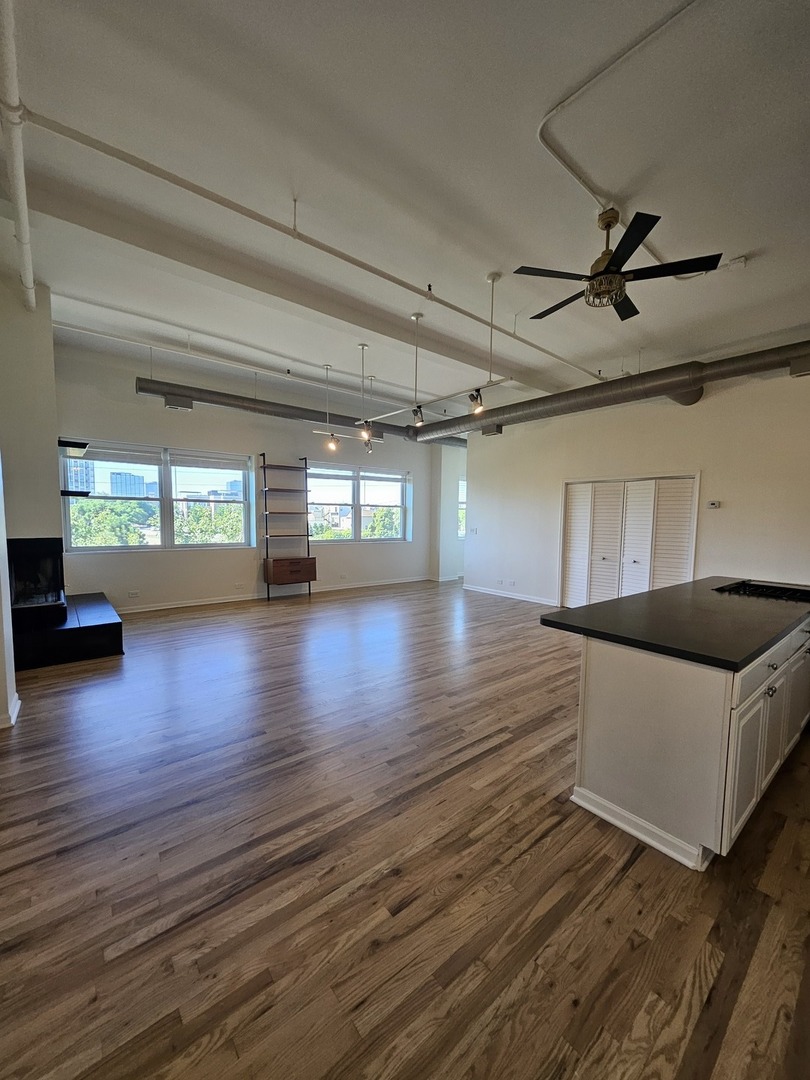 809 North Racine Avenue, Unit 203 Chicago, IL 60642 - Photo 2 of 22