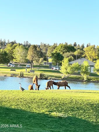 $3,500 | 955 West Ensenada Lane, Payson, AZ 85541