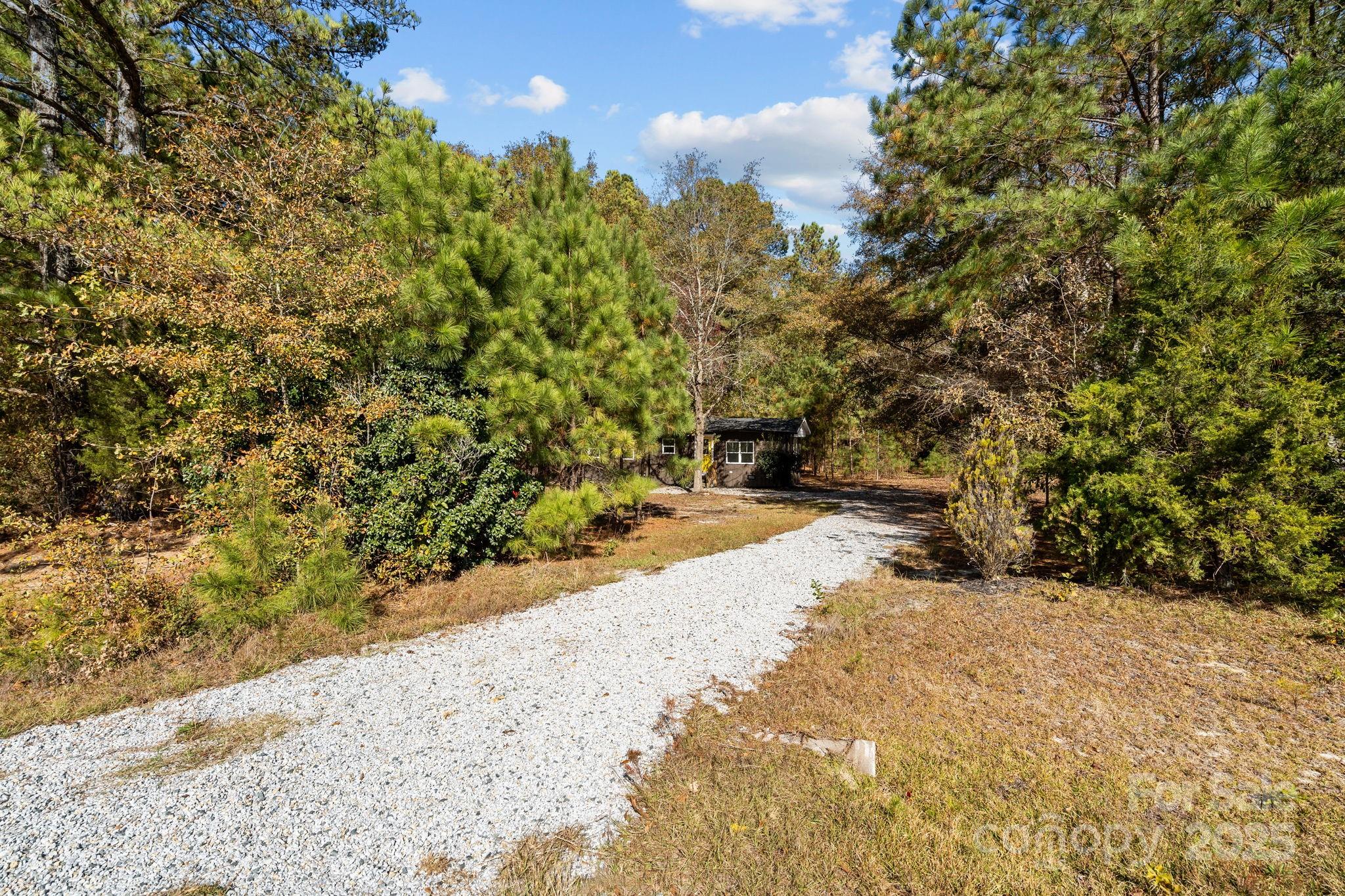 2627 McCallum Road Candor, NC 27229 - Photo 3 of 41 a view of a backyard of the house