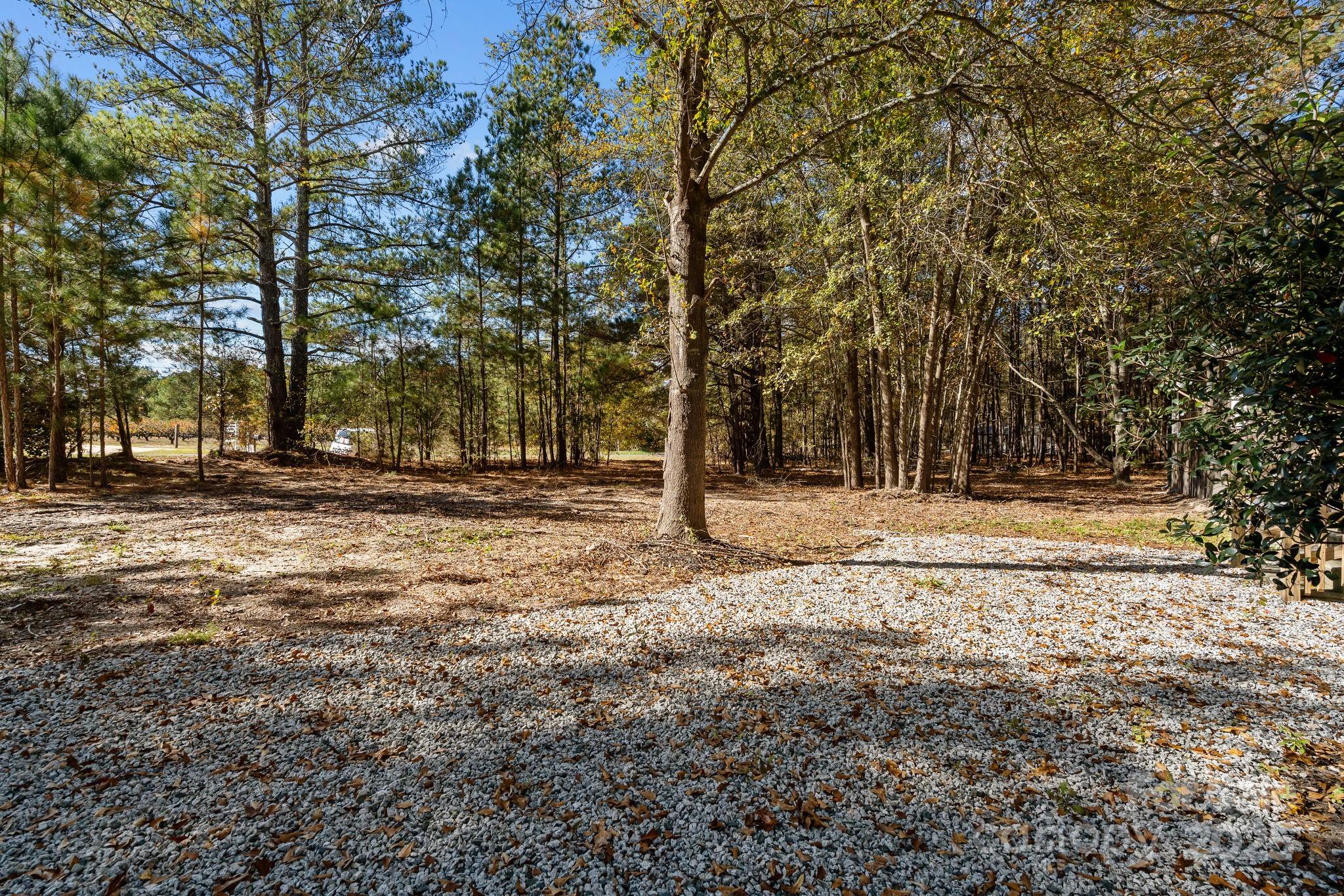2627 McCallum Road Candor, NC 27229 - Photo 40 of 41 a view of park space