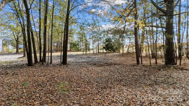 a view of dirt yard with a tree