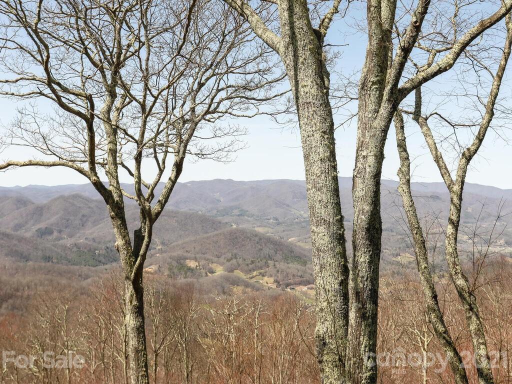96 Wormy Chestnut Road Burnsville, NC 28714 - Photo 27 of 44 Gallery Image 27
