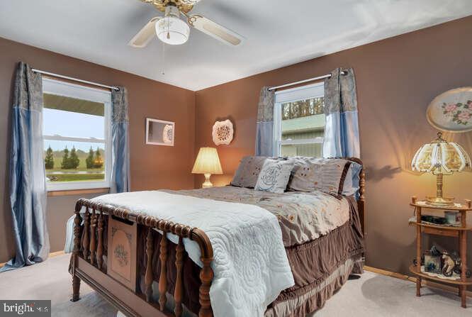 28561 Sharp Road Easton, MD 21601 - Photo 25 of 42