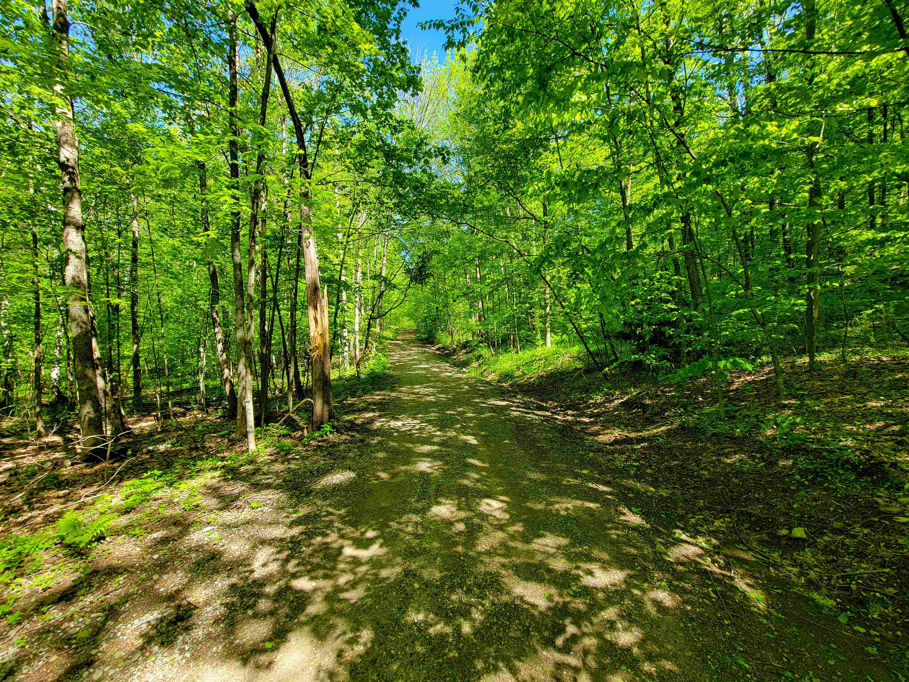 925 Hathaway Road Goshen, VT 05733 - Photo 13 of 50