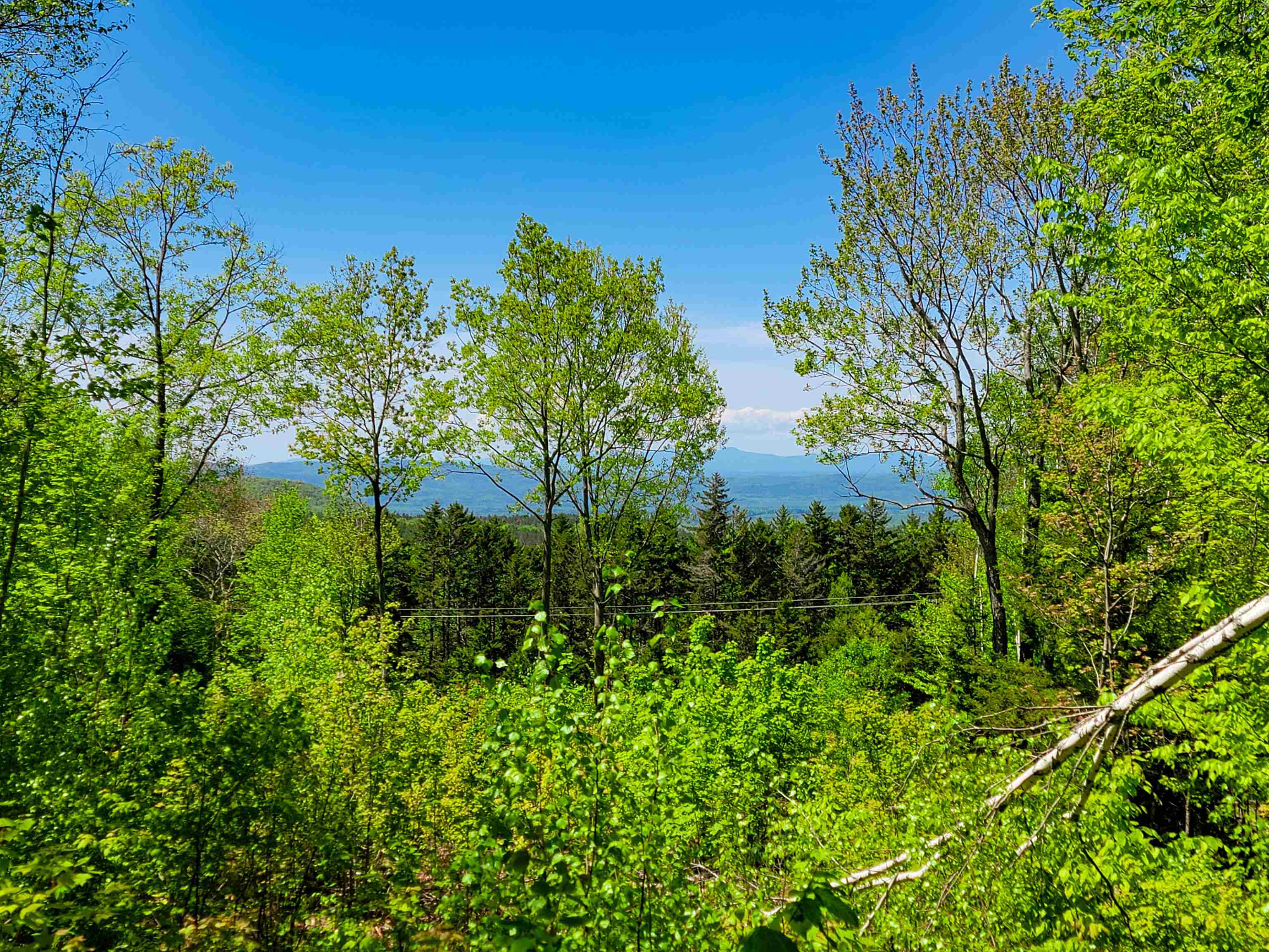 925 Hathaway Road Goshen, VT 05733 - Photo 14 of 50
