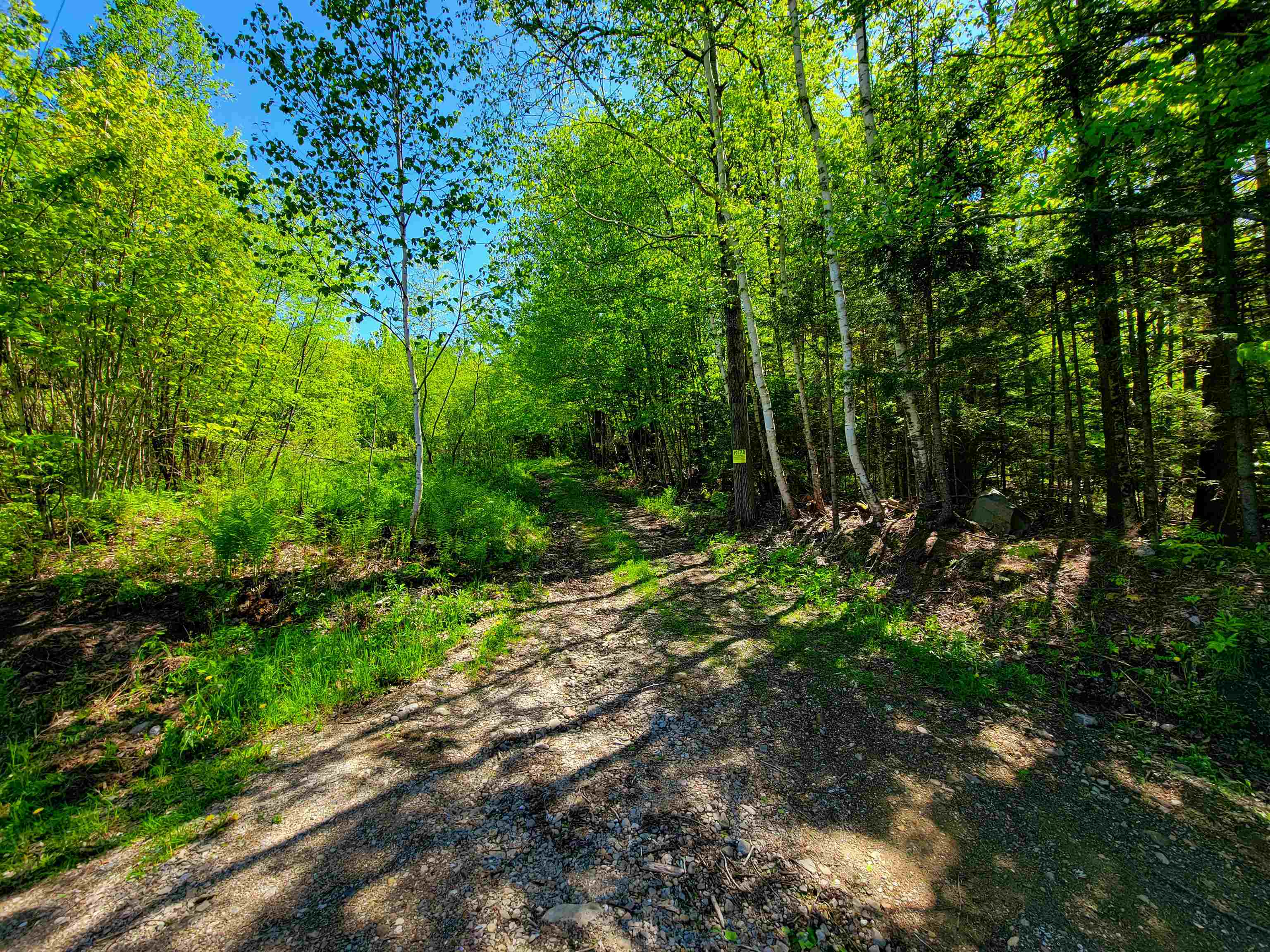 925 Hathaway Road Goshen, VT 05733 - Photo 16 of 50