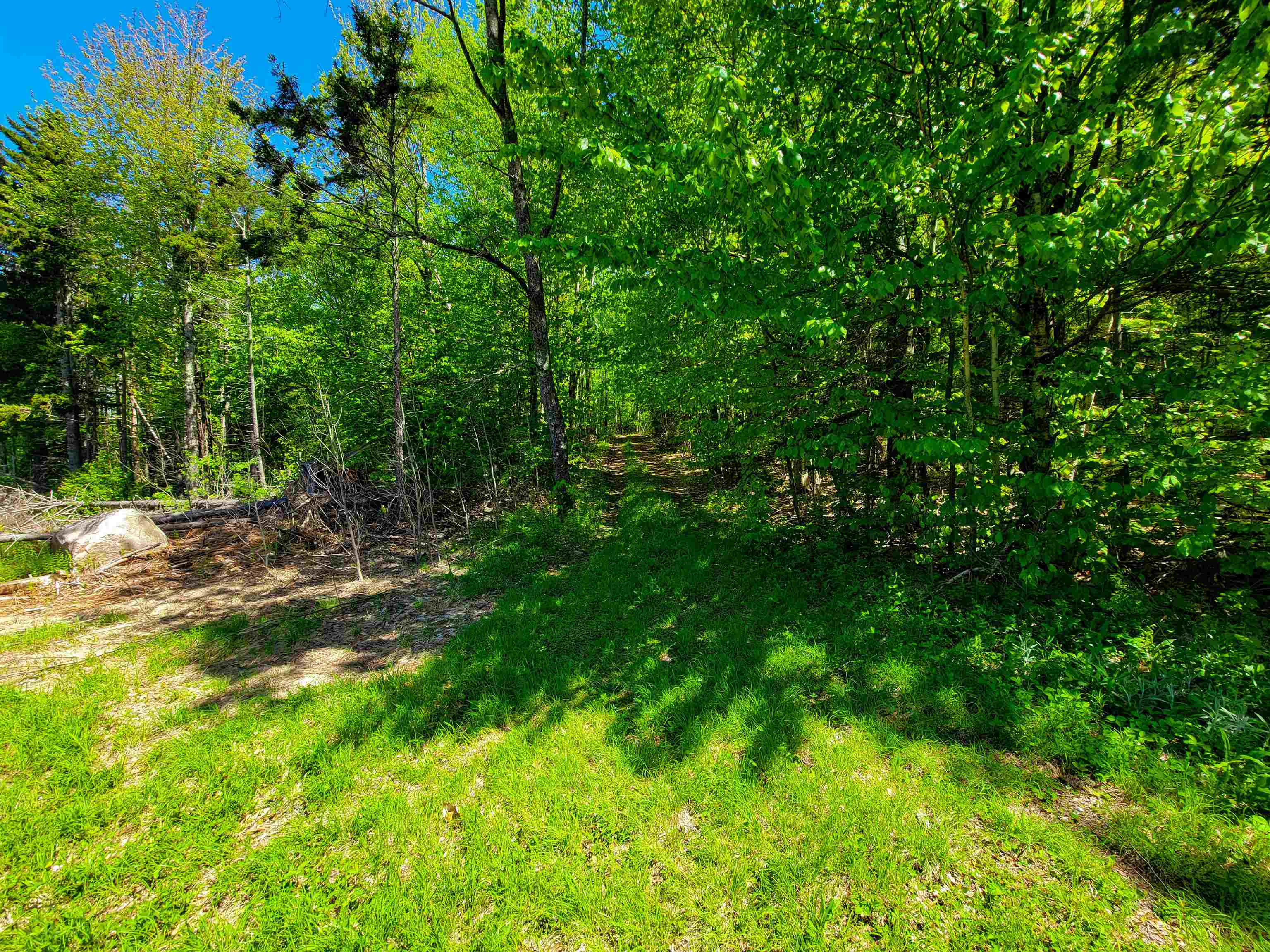 925 Hathaway Road Goshen, VT 05733 - Photo 18 of 50