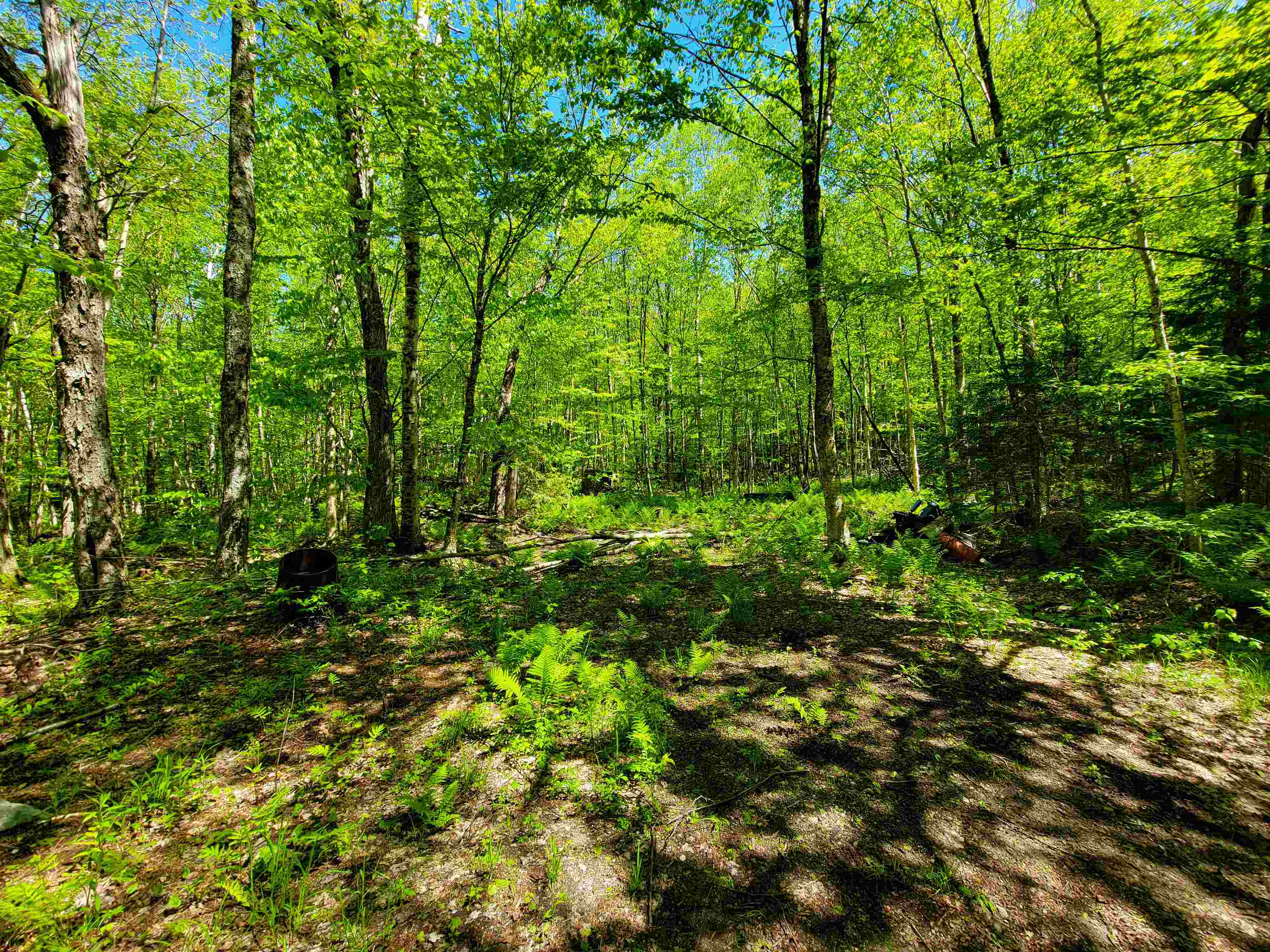 925 Hathaway Road Goshen, VT 05733 - Photo 21 of 50