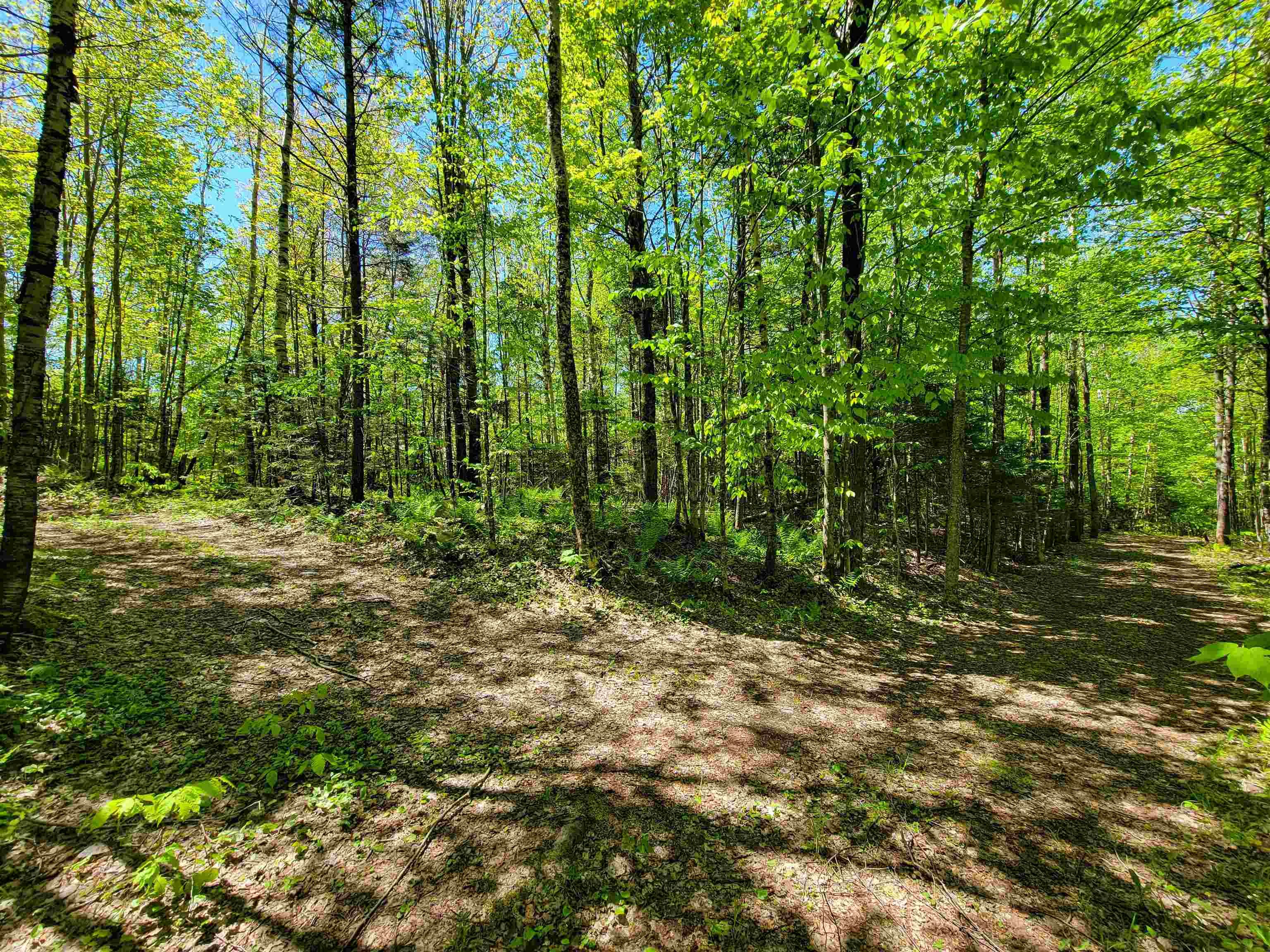 925 Hathaway Road Goshen, VT 05733 - Photo 32 of 50