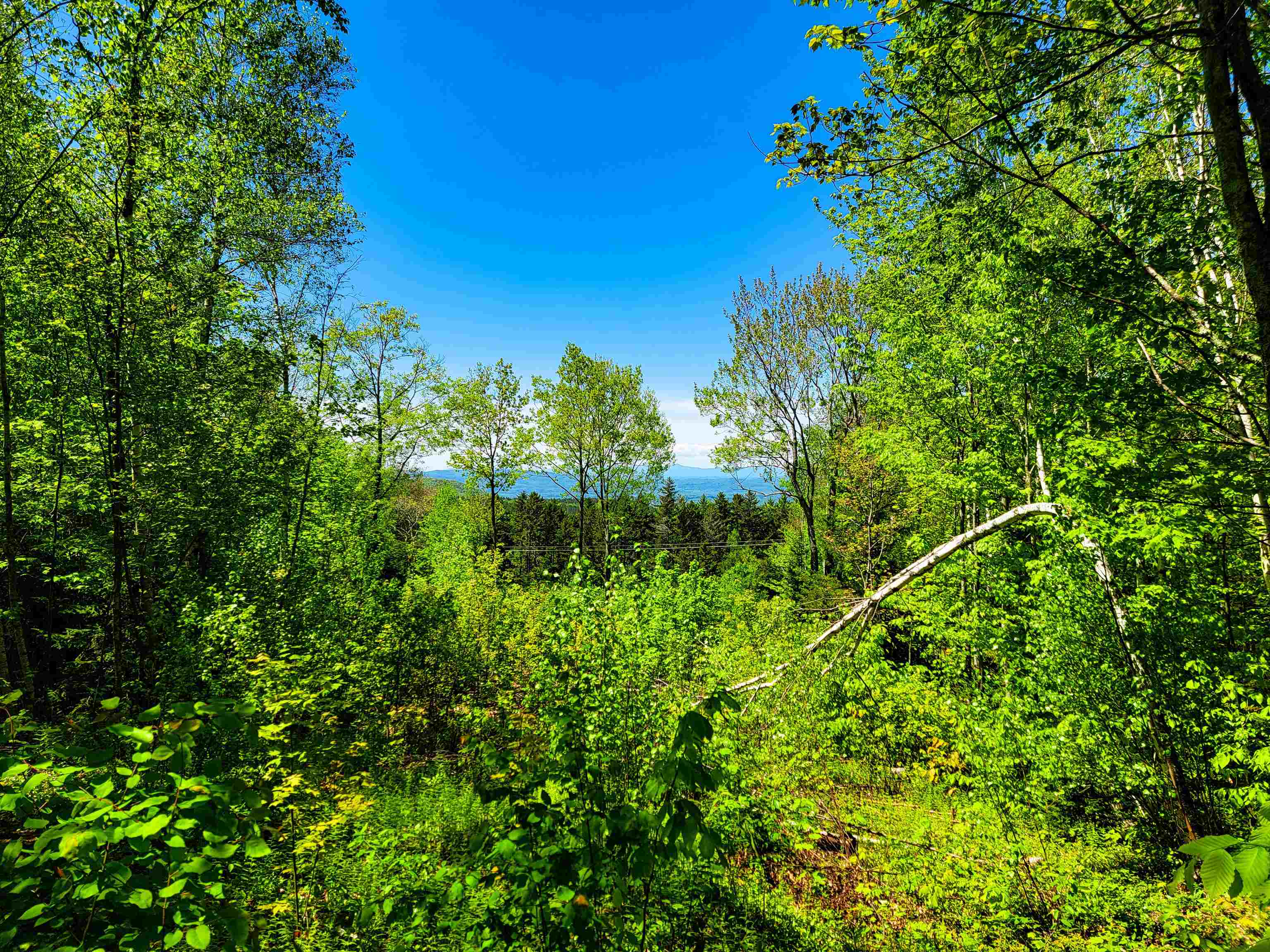 925 Hathaway Road Goshen, VT 05733 - Photo 36 of 50