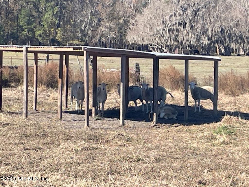 14014 Lem Turner Road Jacksonville, FL 32218 - Photo 25 of 25 a view of a roof deck