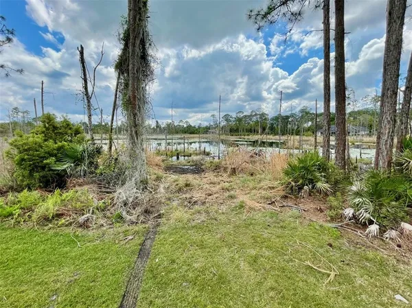 a view of a yard with a tree