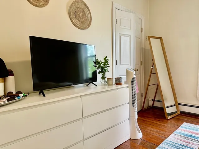 a room with a flat screen tv and a potted plant