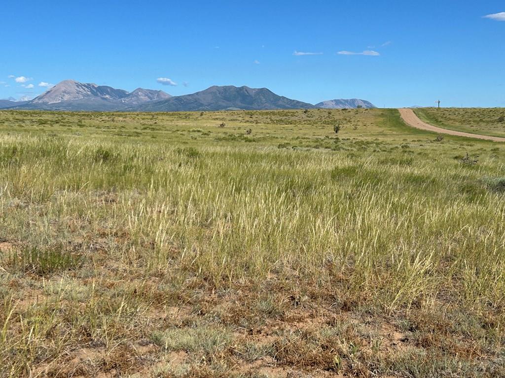 Lot 46 River Ridge Trail La Veta, CO 81055 - Photo 3 of 18