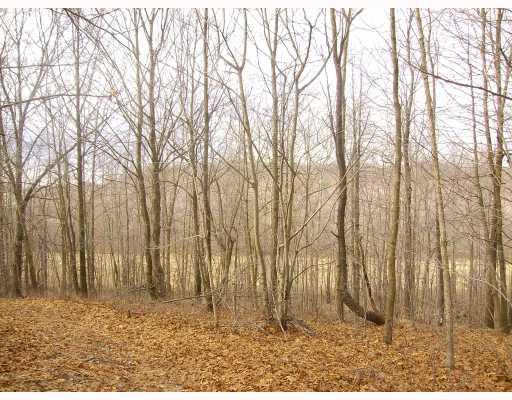 Clintonville Road Harrisville, PA 16038 - Photo 4 of 9 Land.