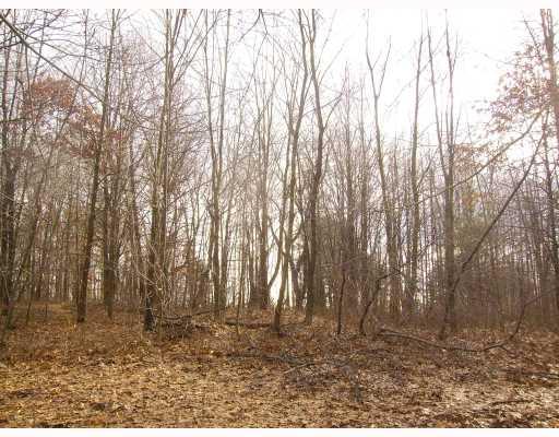 Clintonville Road Harrisville, PA 16038 - Photo 5 of 9 Land.