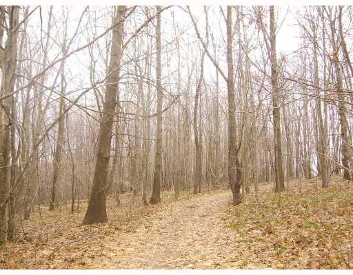 Clintonville Road Harrisville, PA 16038 - Photo 6 of 9 Land.