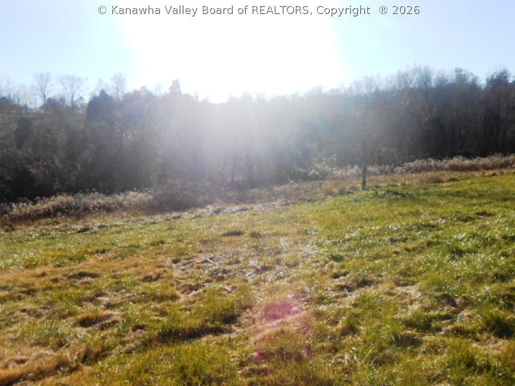 7110 Gay Road Gay, WV 25244 - Photo 9 of 21 Gallery Image 9