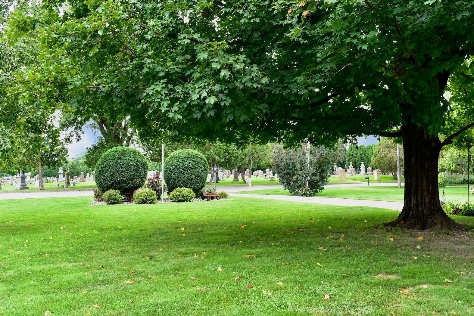 1115 Rustic Lane Wabasha, MN 55981 - Photo 40 of 41