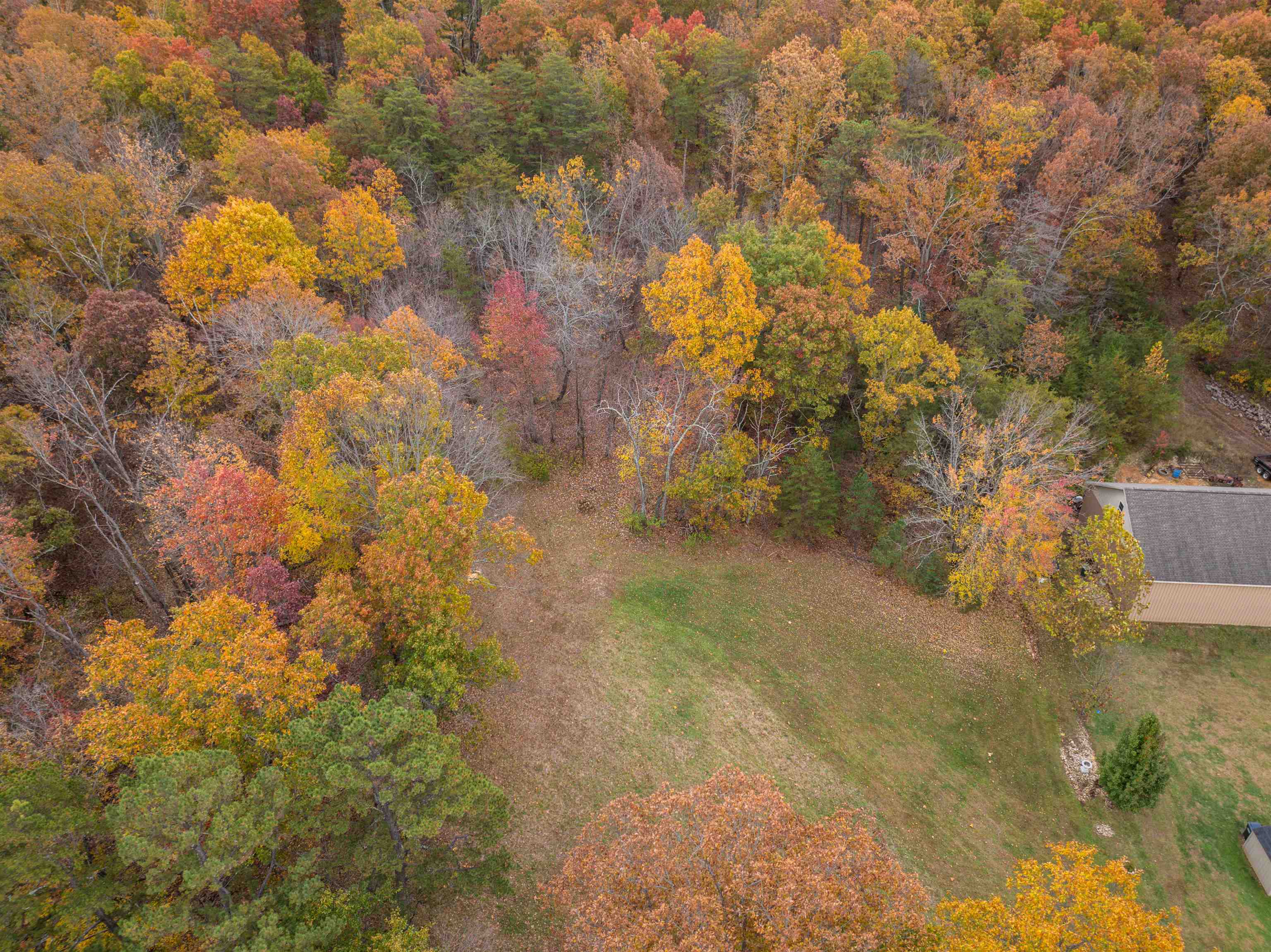 Tbd Inch Run Lane Lyndhurst, VA 22952 - Photo 11 of 57 a view of a yard