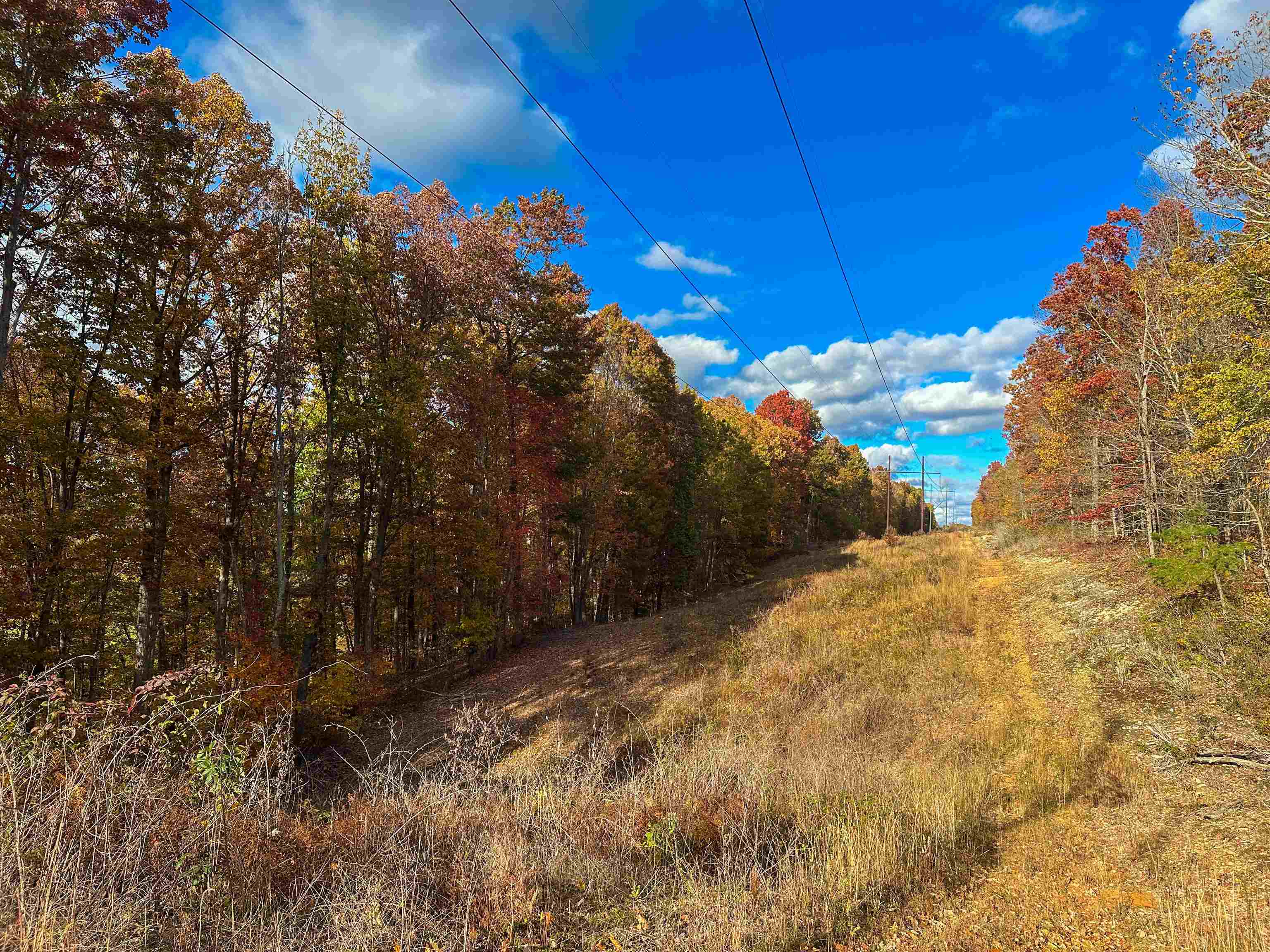 Tbd Inch Run Lane Lyndhurst, VA 22952 - Photo 21 of 57 a view of a yard