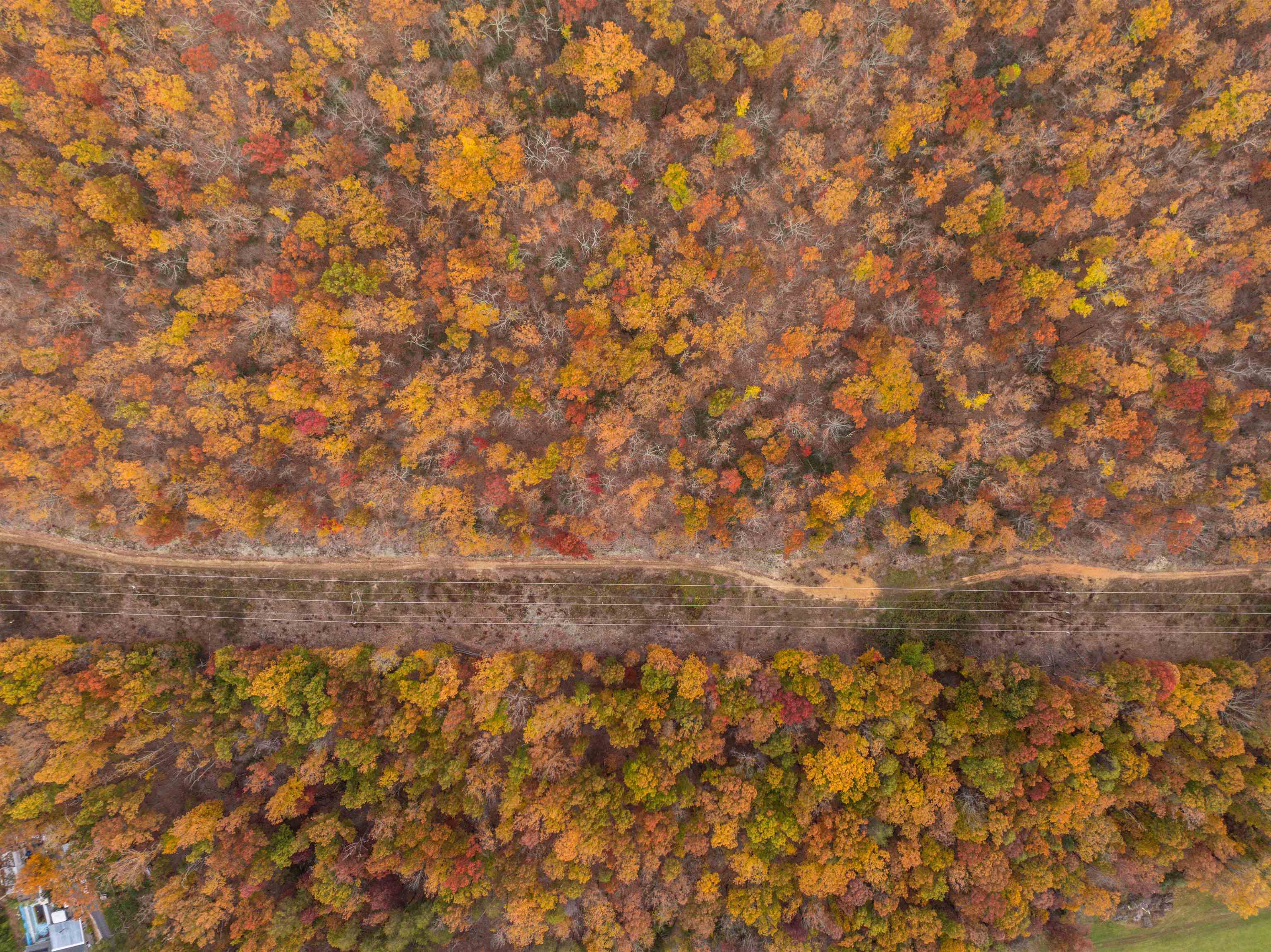Tbd Inch Run Lane Lyndhurst, VA 22952 - Photo 22 of 57 a view of a yard