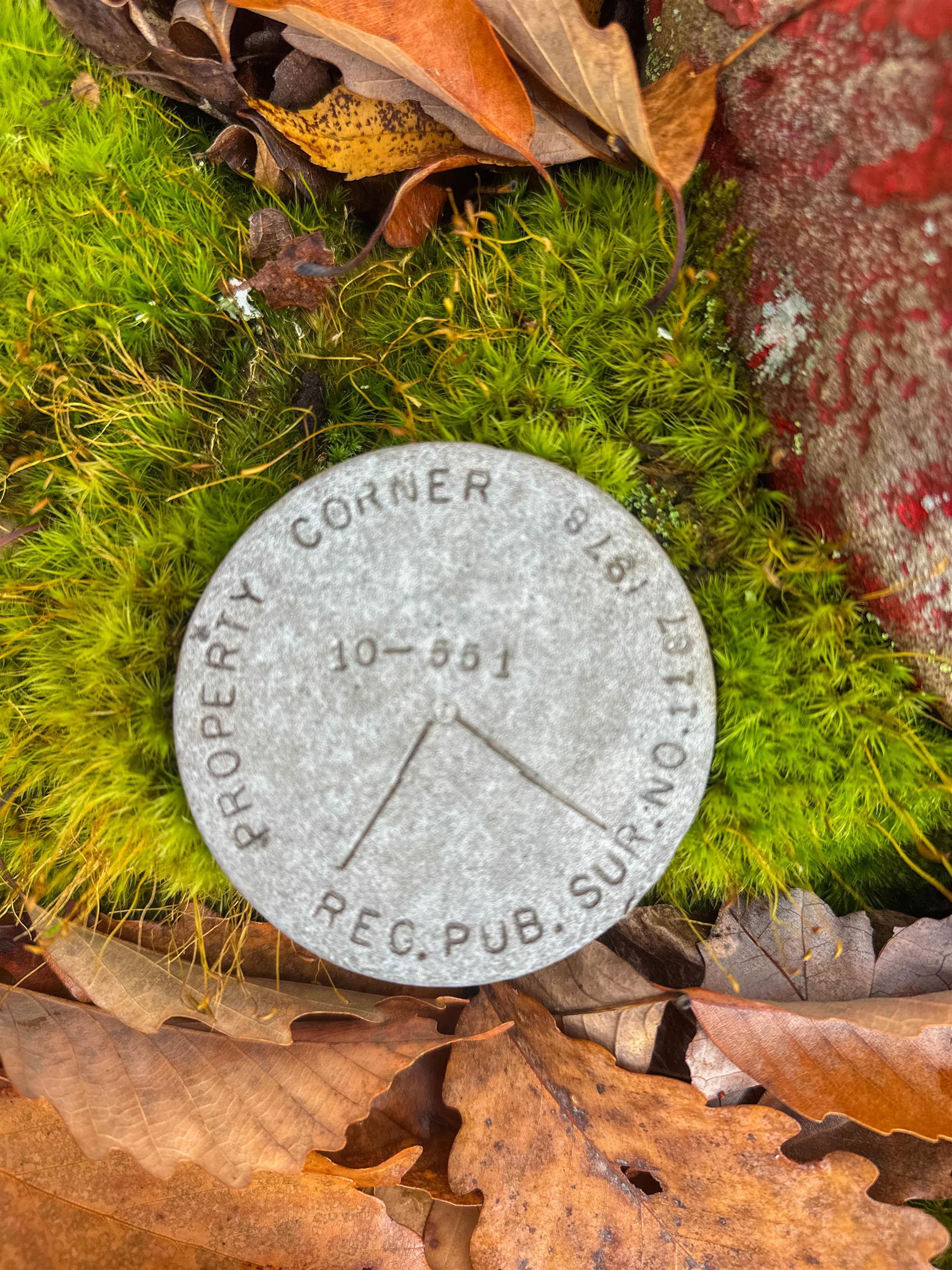 Tbd Inch Run Lane Lyndhurst, VA 22952 - Photo 32 of 57 a view of a backyard of a house