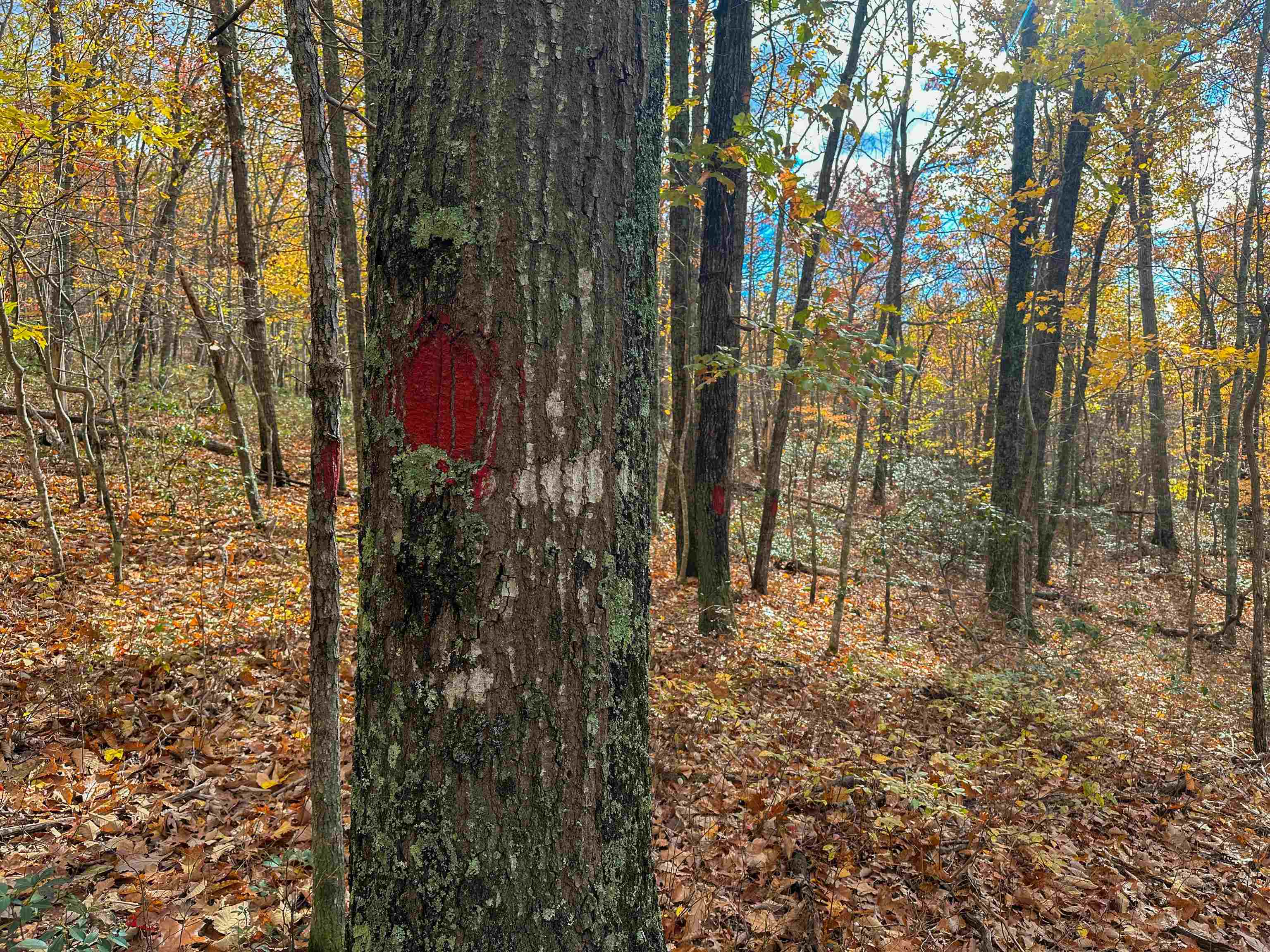 Tbd Inch Run Lane Lyndhurst, VA 22952 - Photo 34 of 57