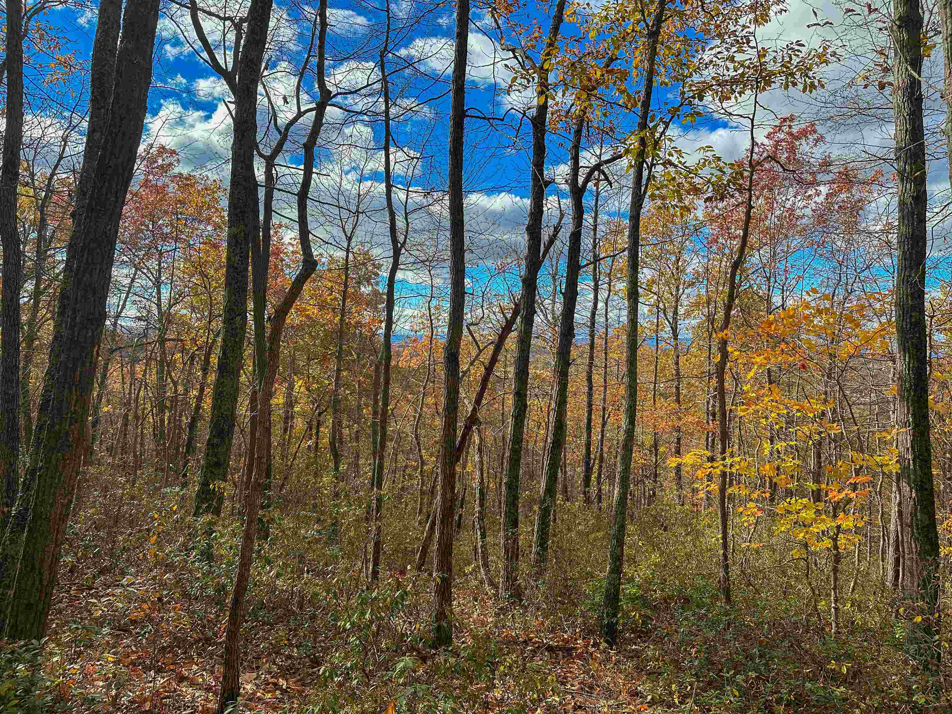 Tbd Inch Run Lane Lyndhurst, VA 22952 - Photo 35 of 57