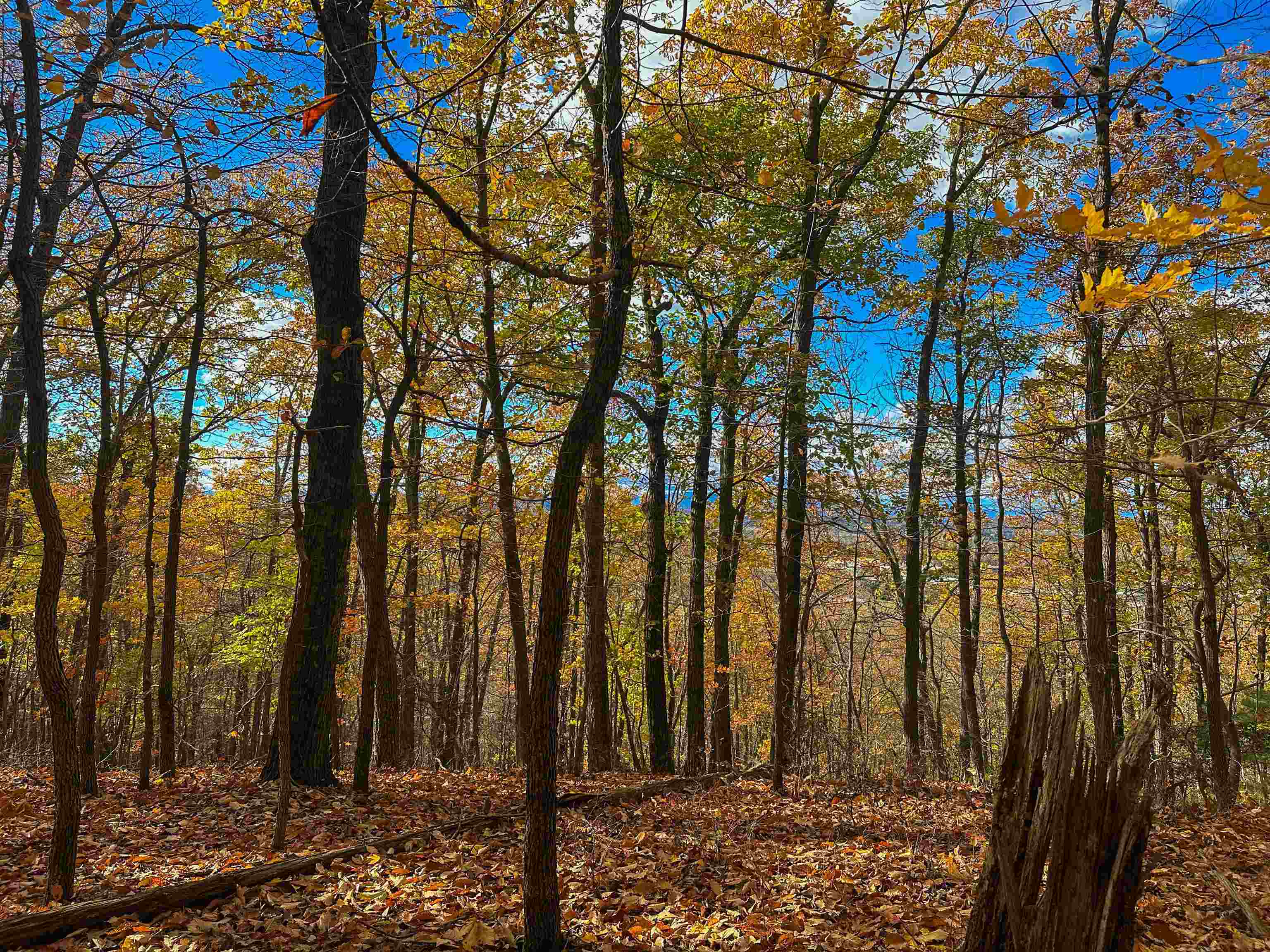 Tbd Inch Run Lane Lyndhurst, VA 22952 - Photo 38 of 57