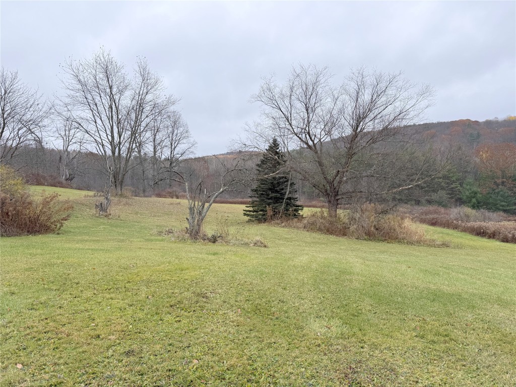 232 Riley Road Windsor, NY 13865 - Photo 39 of 48