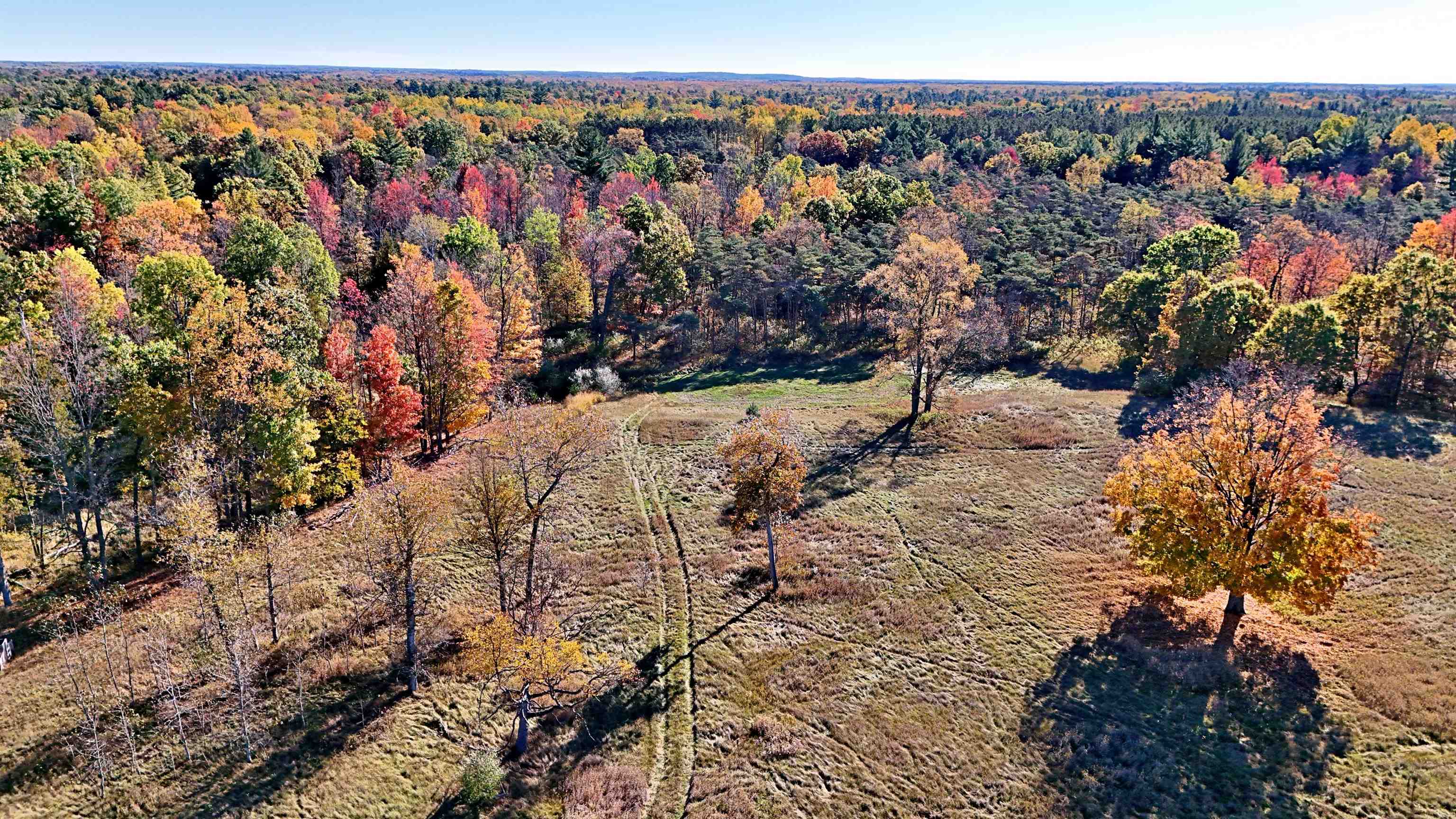 0 Twin Lake Road Marion, MI 49665 - Photo 30 of 33